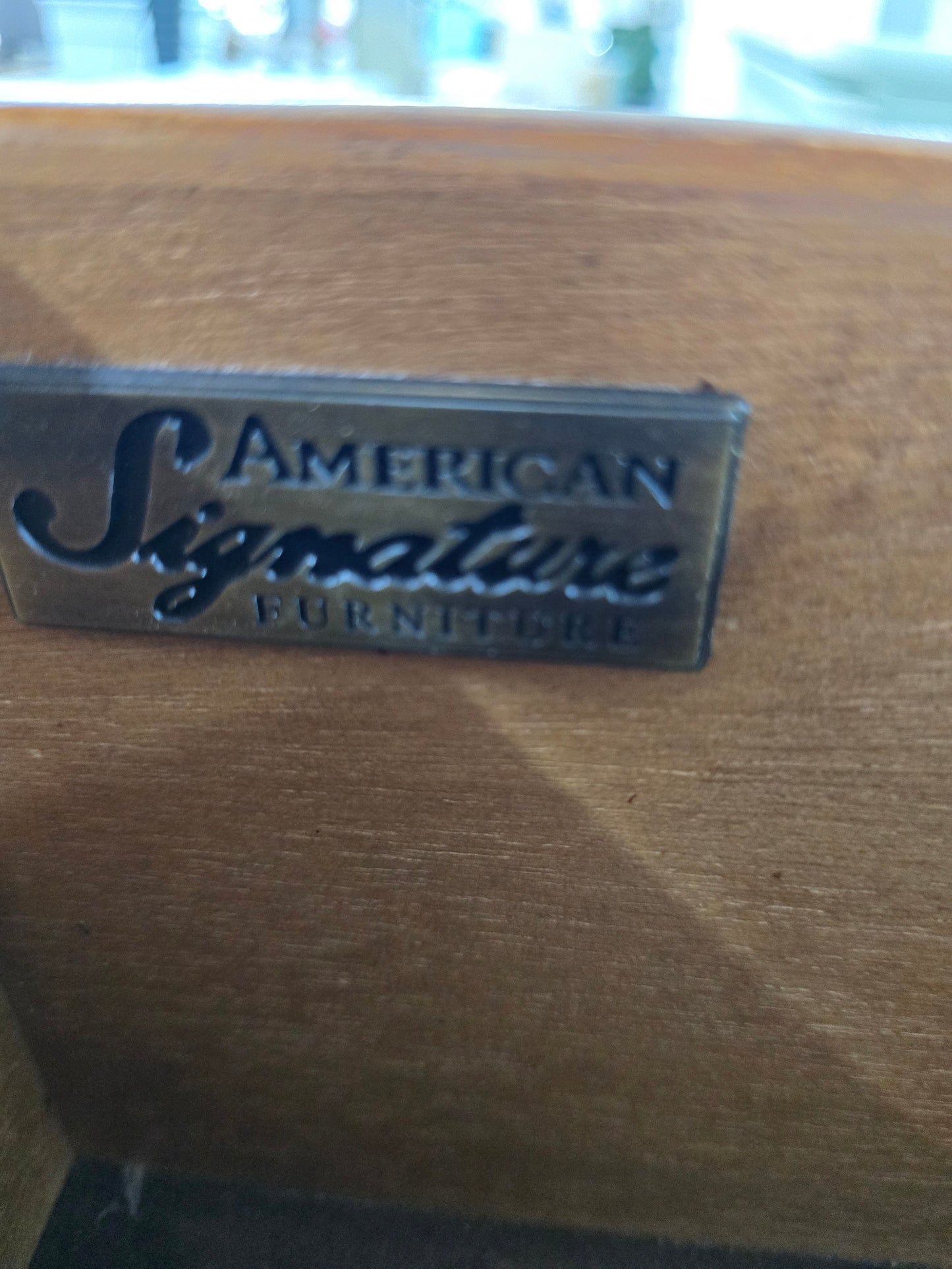 American signature green chest
